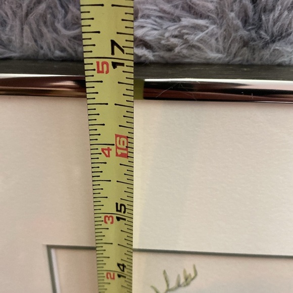 Framed Trogon Bird Art Print - Picture 15 of 16